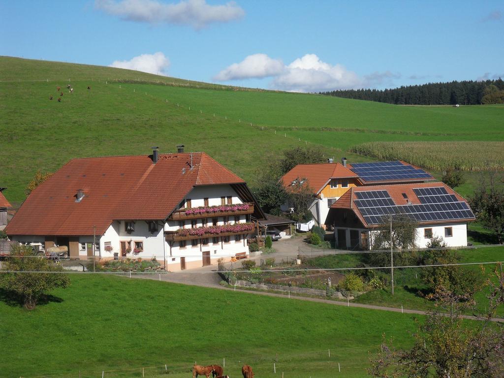 Stockerhof Διαμέρισμα Elzach Εξωτερικό φωτογραφία